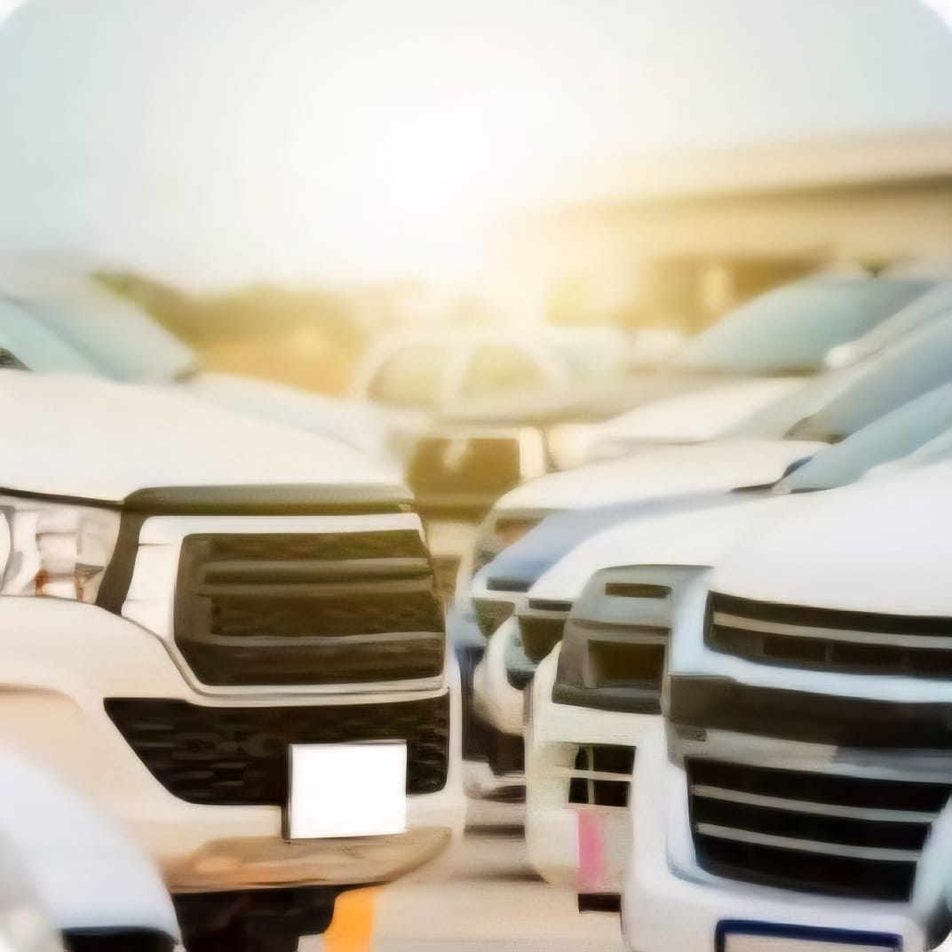 WhatsApp Image 2025-07-09 at 08.48.21